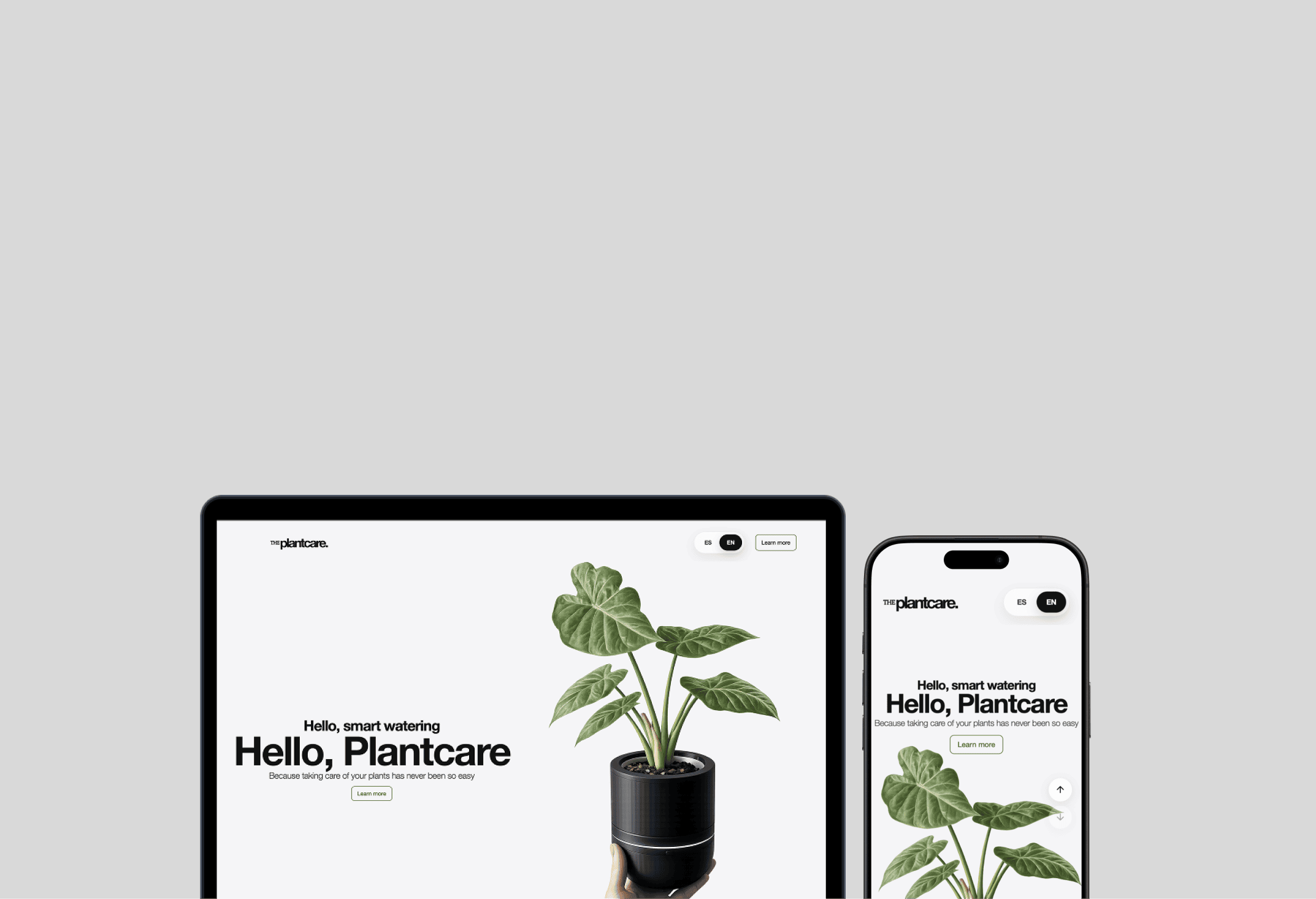 An amazing design.