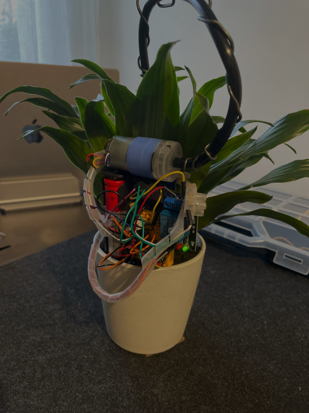 Me encantaban las plantas, pero en mis manos no duraban más de seis meses. Nunca encontré nada bonito y funcional que lo resolviera, así que pensé: ¿y si lo construyo yo?