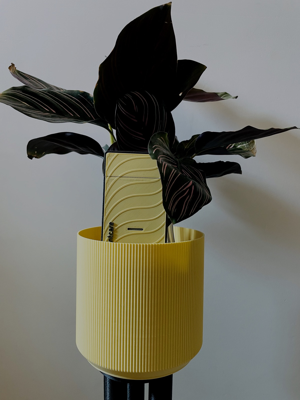 Aprendo a imprimir en 3D, a mejorar en el diseño de la electrónica y mucho sobre plantas y botánica. plantcare sigue creciendo como producto: poco a poco mis plantas se riegan solas y su tasa de supervivencia es más que aceptable.