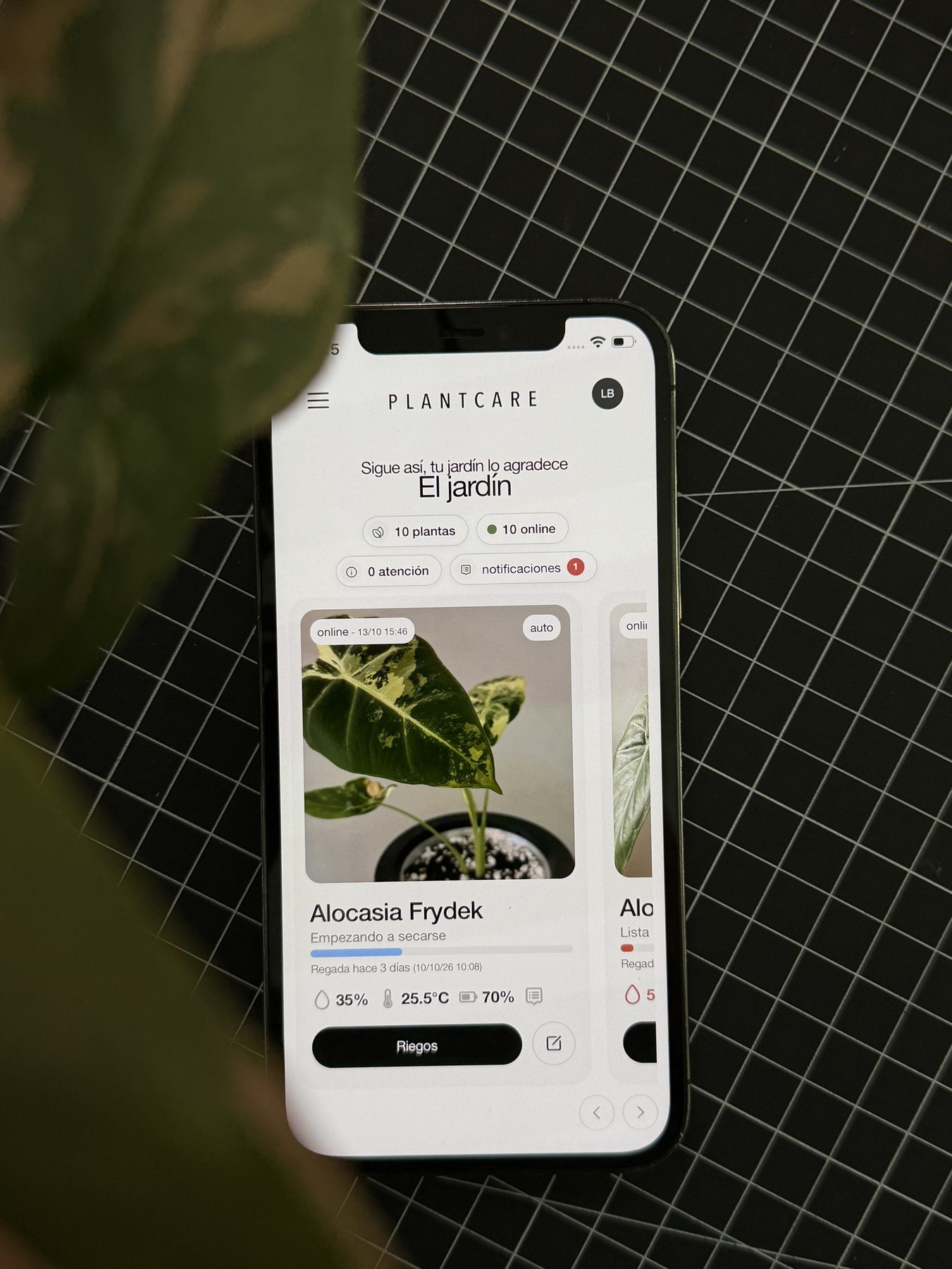 App de plantcare en el móvil con el estado de una planta
