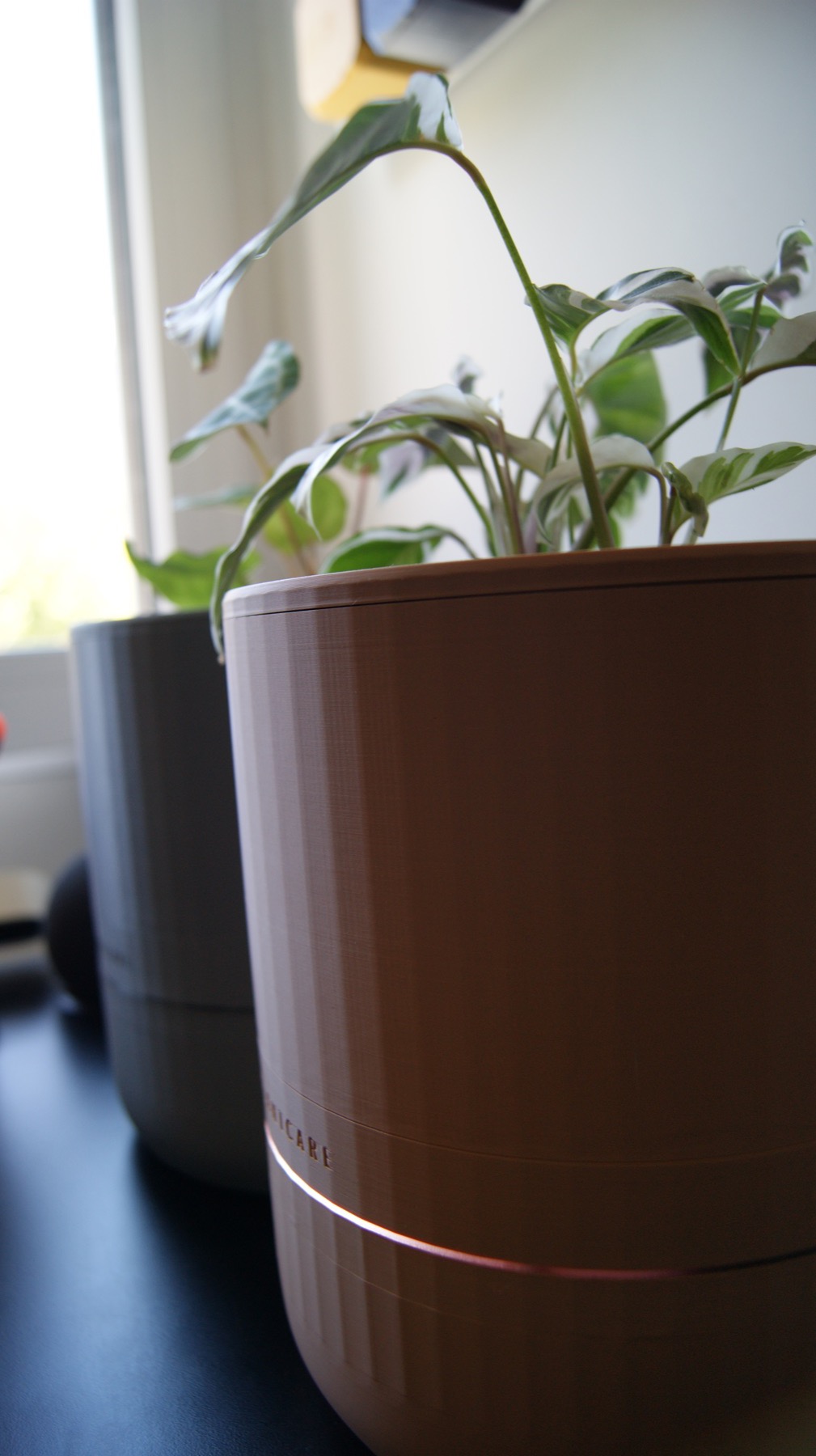 Maceta plantcare con una planta de interior